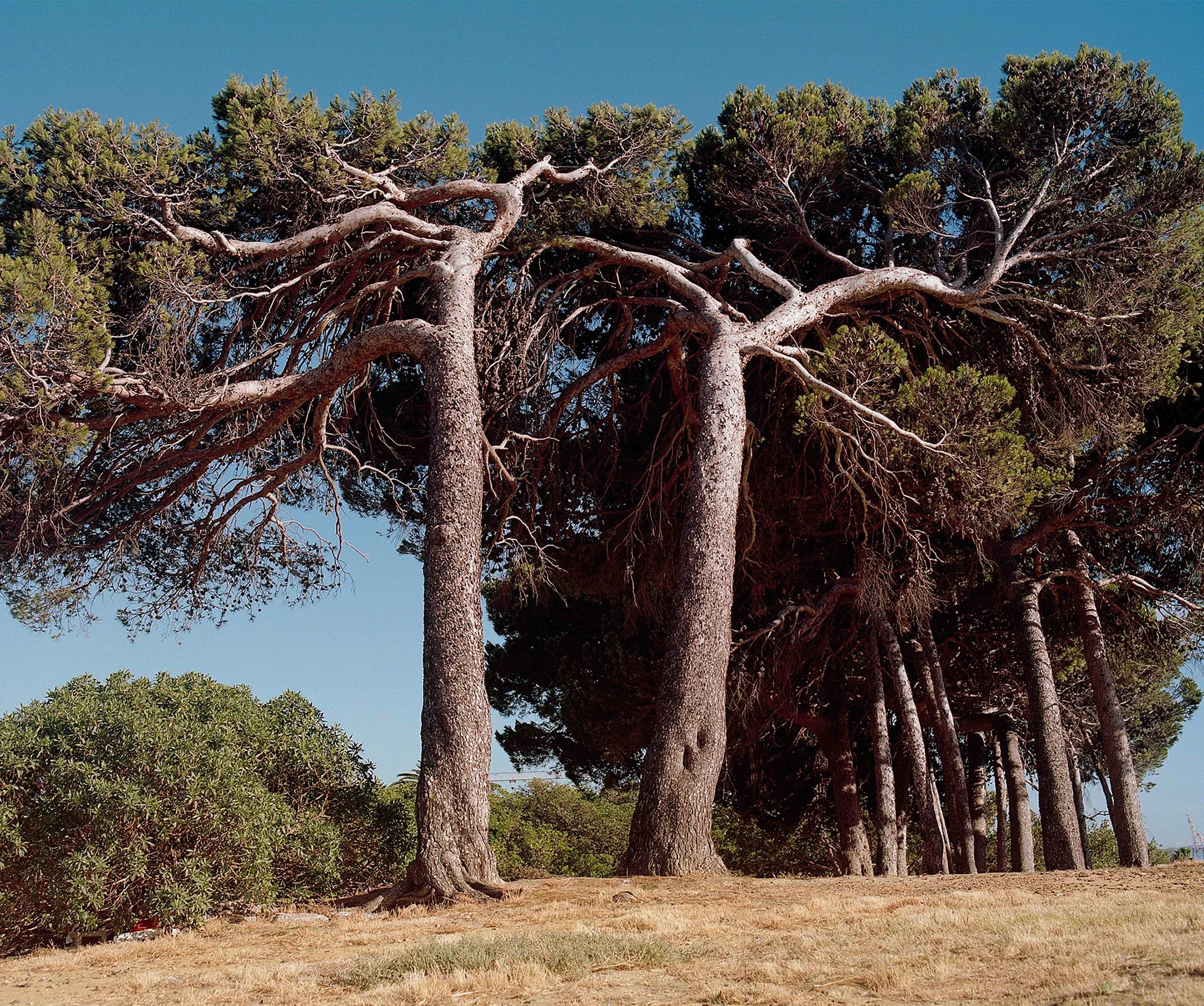 TEIKEN3 — Kent Andreasen